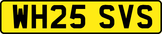 WH25SVS