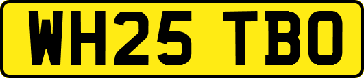 WH25TBO
