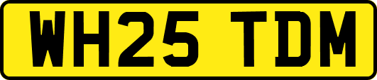 WH25TDM