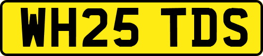 WH25TDS