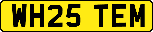 WH25TEM