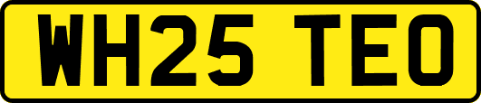 WH25TEO