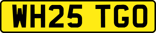 WH25TGO