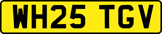 WH25TGV