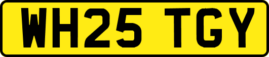 WH25TGY