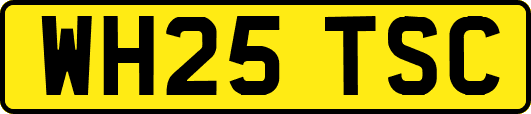 WH25TSC