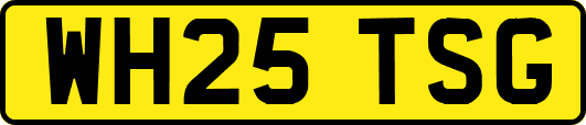 WH25TSG
