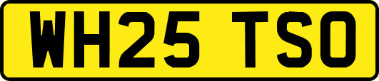 WH25TSO