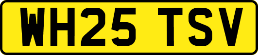 WH25TSV