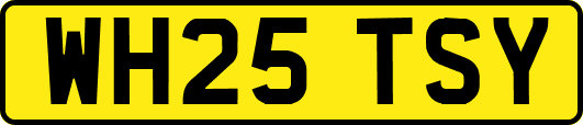 WH25TSY