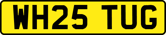 WH25TUG