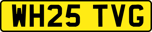 WH25TVG