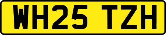 WH25TZH
