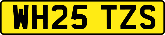 WH25TZS
