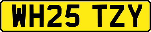 WH25TZY