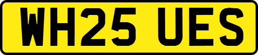 WH25UES