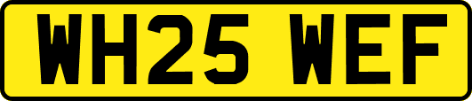 WH25WEF