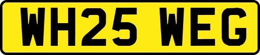 WH25WEG