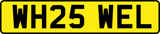 WH25WEL