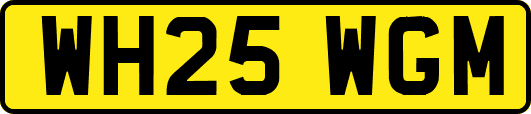 WH25WGM