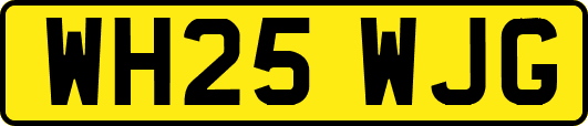 WH25WJG