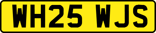 WH25WJS