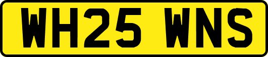 WH25WNS
