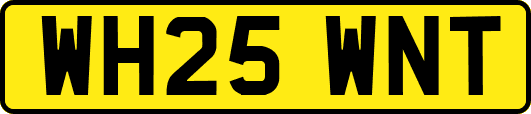 WH25WNT