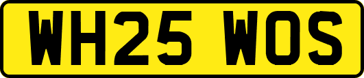 WH25WOS