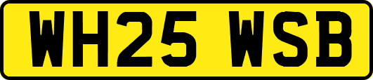 WH25WSB