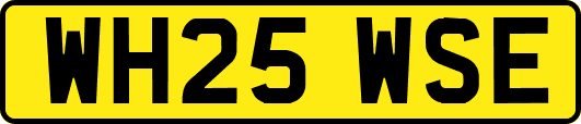 WH25WSE