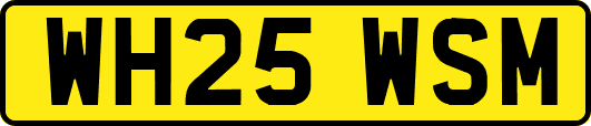 WH25WSM