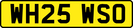 WH25WSO