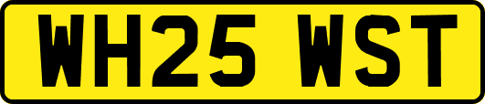 WH25WST