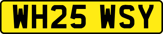 WH25WSY