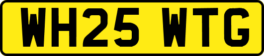 WH25WTG