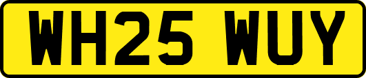 WH25WUY