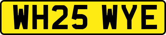 WH25WYE