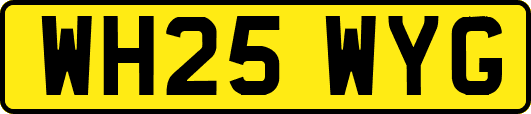 WH25WYG