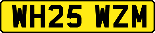 WH25WZM