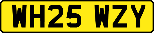 WH25WZY