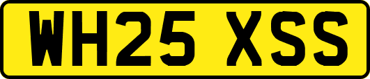 WH25XSS