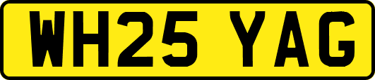WH25YAG