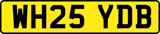 WH25YDB