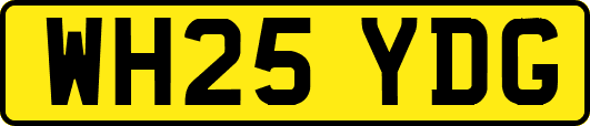 WH25YDG