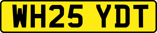 WH25YDT