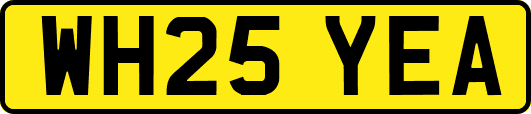 WH25YEA
