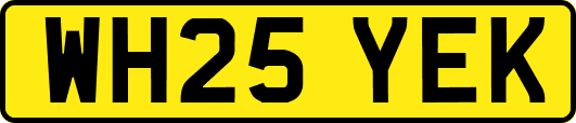 WH25YEK