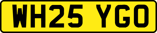 WH25YGO