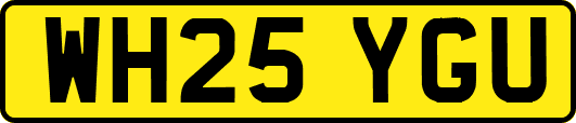 WH25YGU